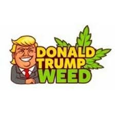 DonaldTrumpWeed Deals products