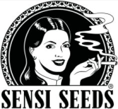 SensiSeeds US Regular Seeds