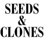 Seeds & Clones Clones