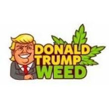 Donaldtrumpweed.com THCA Flower Pounds