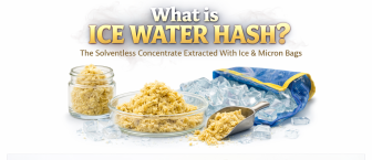 What Is Ice Water Hash?