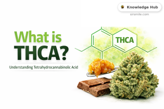 What is THCA?