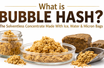 What Is Bubble Hash featured image