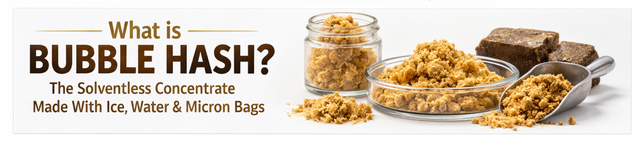 What Is Bubble Hash? banner image