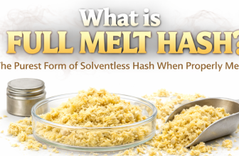 Full melt hash solventless concentrate in a dish with scoop