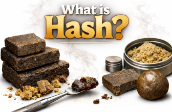 What Is Hash featured image showing hash blocks