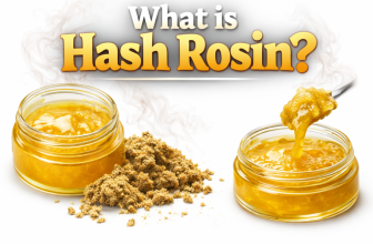 What Is Hash Rosin featured image showing jars of hash rosin