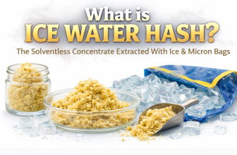 What Is Ice Water Hash featured image