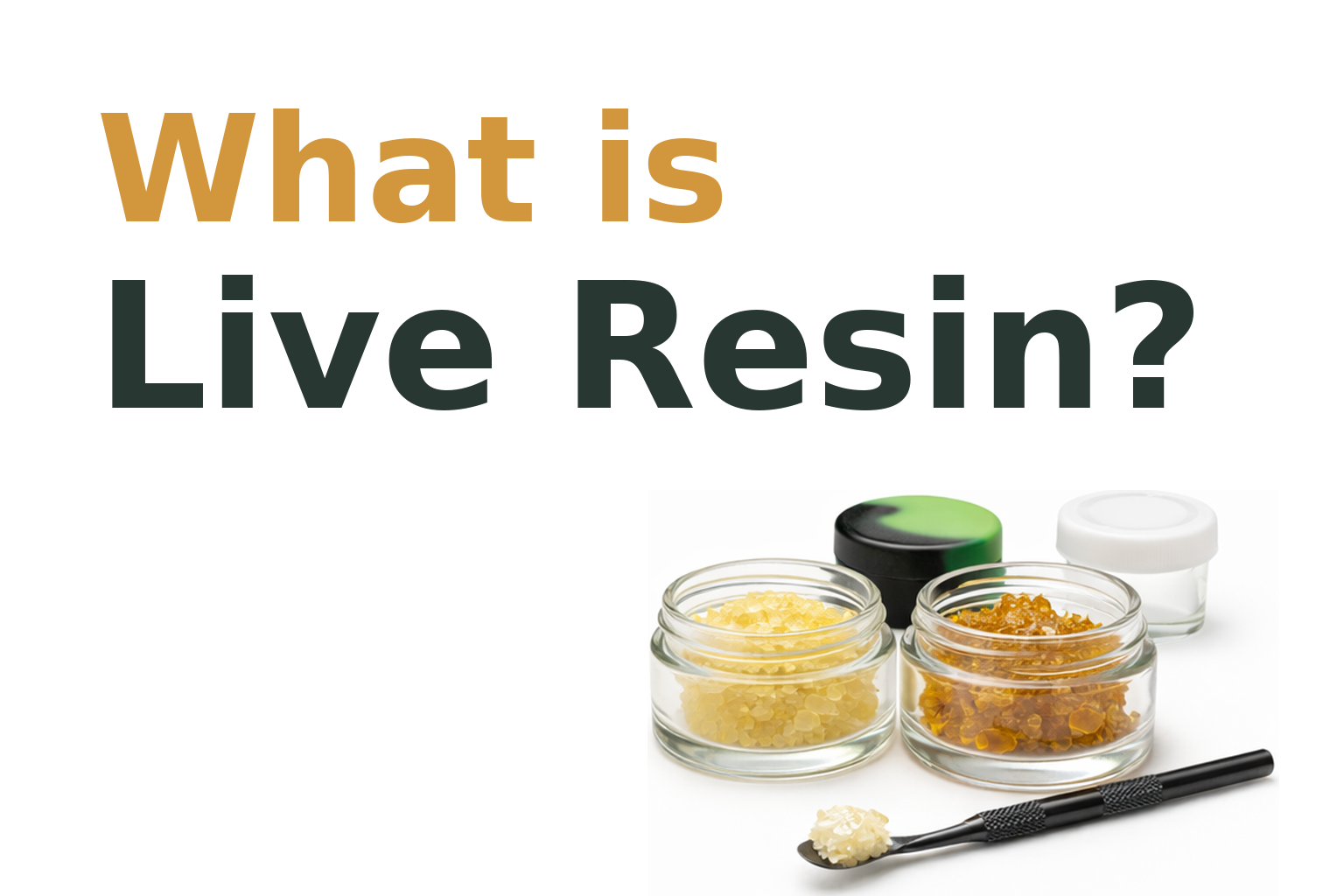 What is Live Resin? — Sirsmile Knowledge Hub