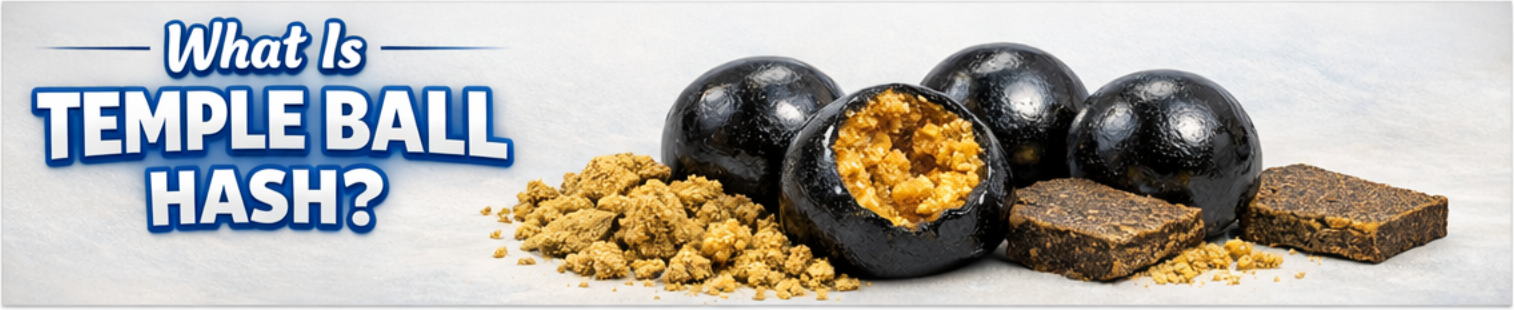 What Is Temple Ball Hash? banner image